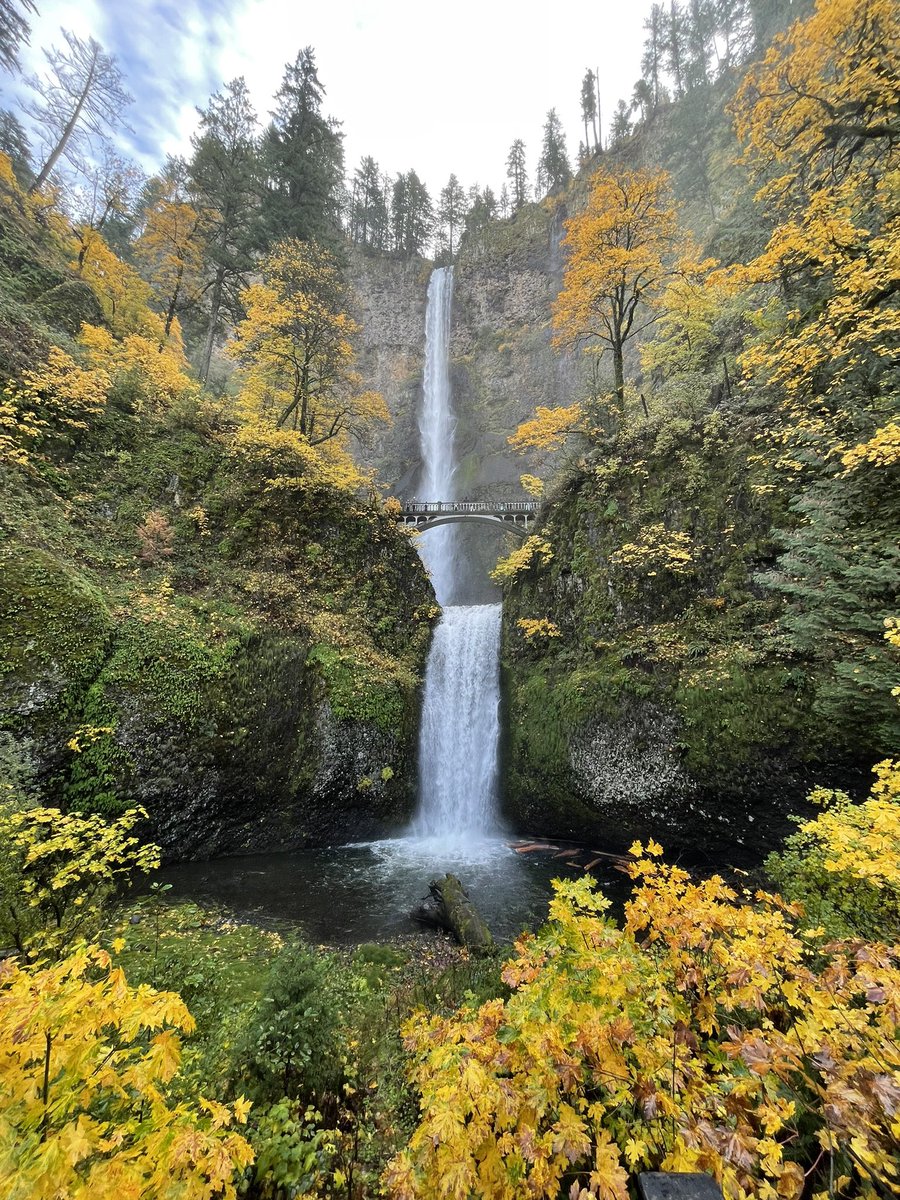 ReviewMyDB's tweet image. Hiked to the top of Multnomah Falls #sqlfamily