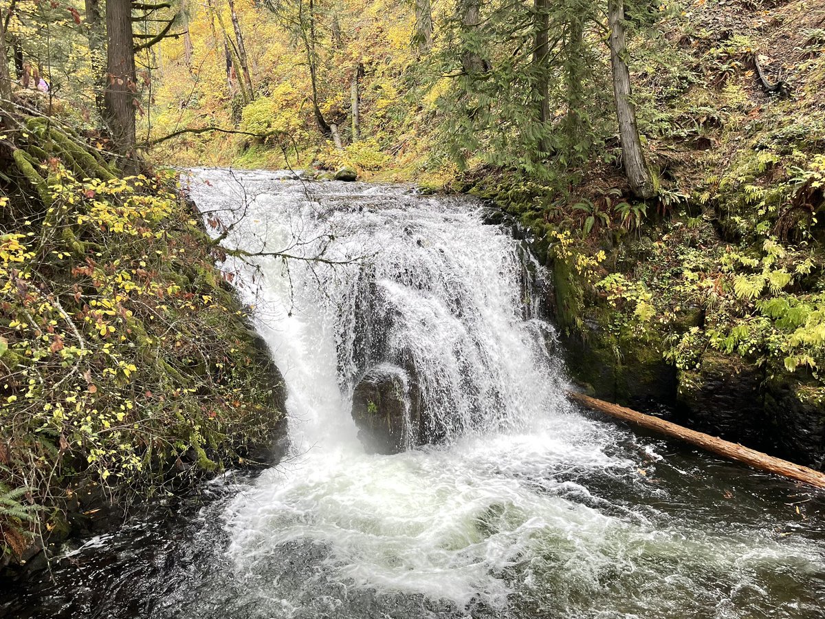 ReviewMyDB's tweet image. Hiked to the top of Multnomah Falls #sqlfamily
