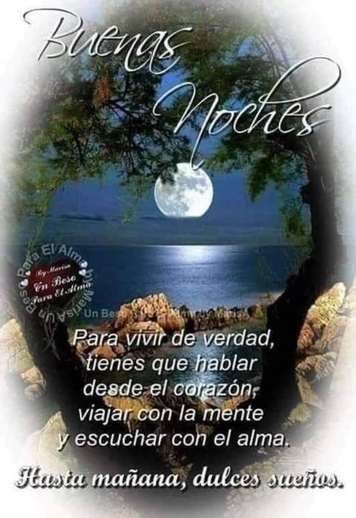 Buenas noches a todosss 🙏😴💤😴💤😴💤😴💤😴💤😴♥️😘🌹