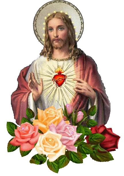 Buenas noches🙏🙏