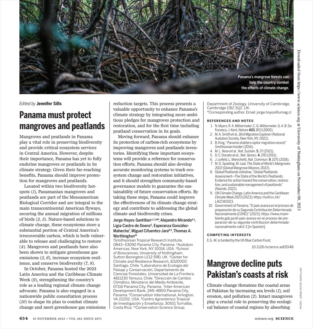 Carlos Vergara-Chen tweet media