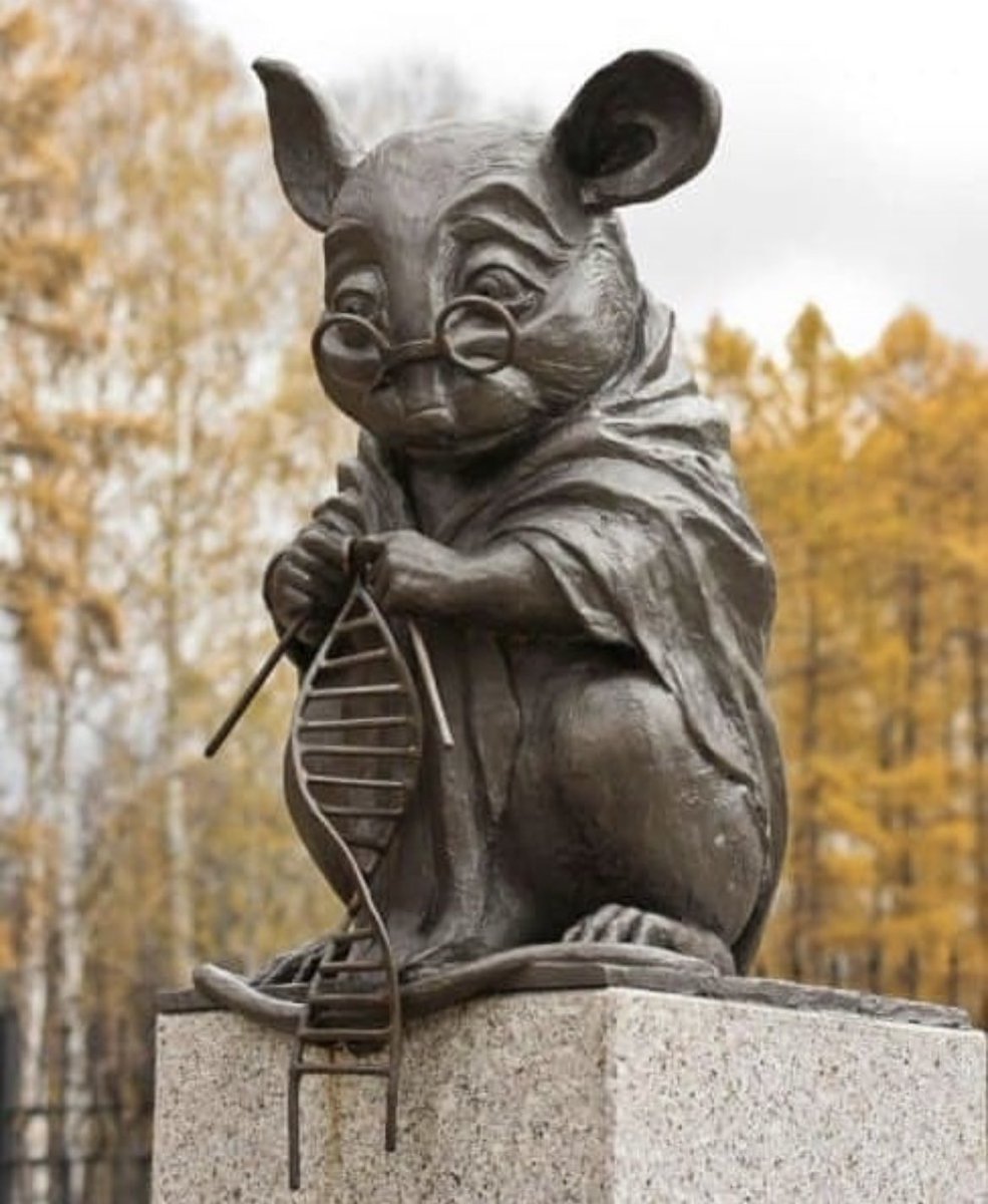 In Siberia, Russia, a bronze statue stands, portraying a laboratory mouse engaged in knitting a double helix of DNA. This sculpture serves as a tribute to all the mice that were sacrificed for genetic research aimed at developing new drugs to combat diseases. The artist behind