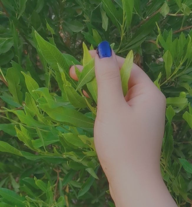 صباح الفل 💚