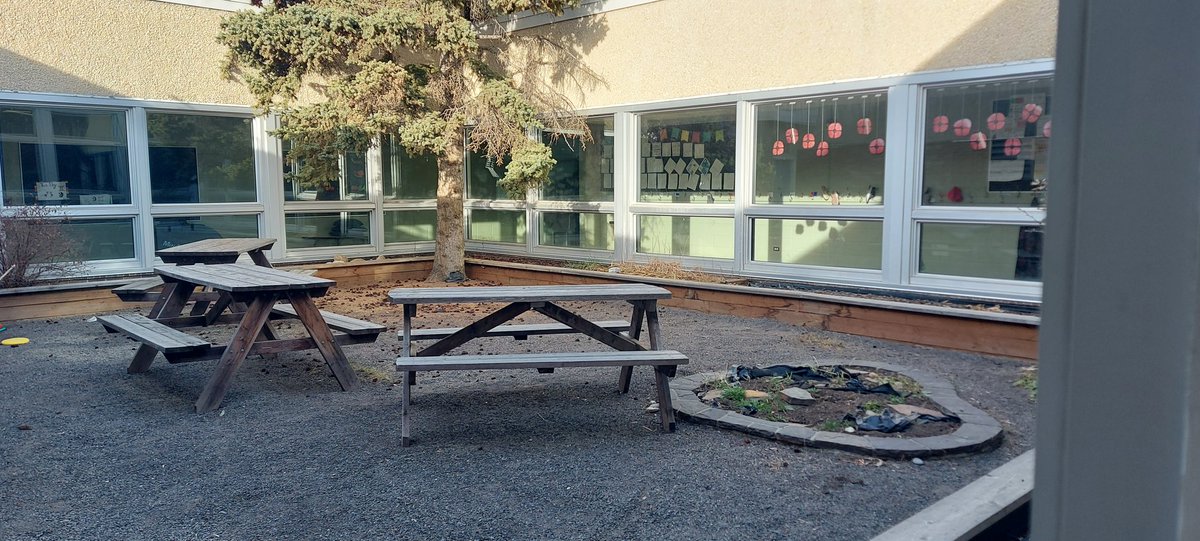 Tracey Bombard tweet media