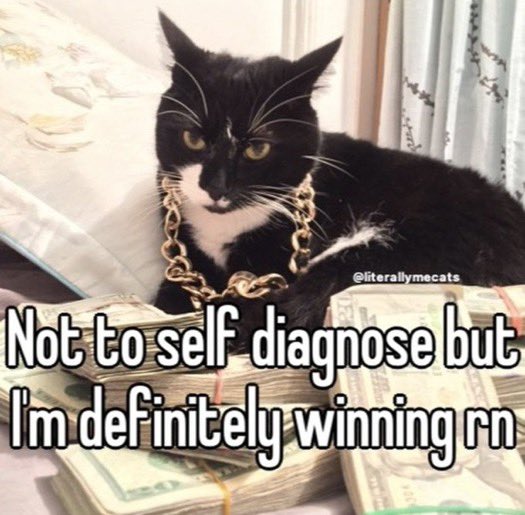 cat on stacks of money wearing gold chain not to self diagnose but I’m definitely winning rn