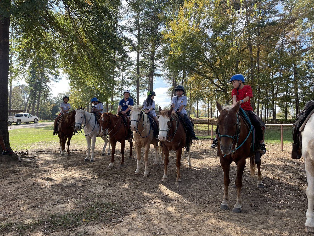 5th Grade tweet media