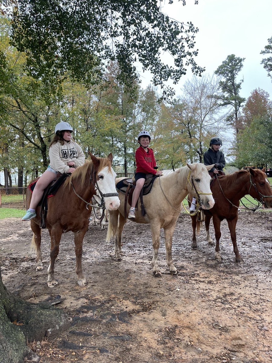 5th Grade tweet media