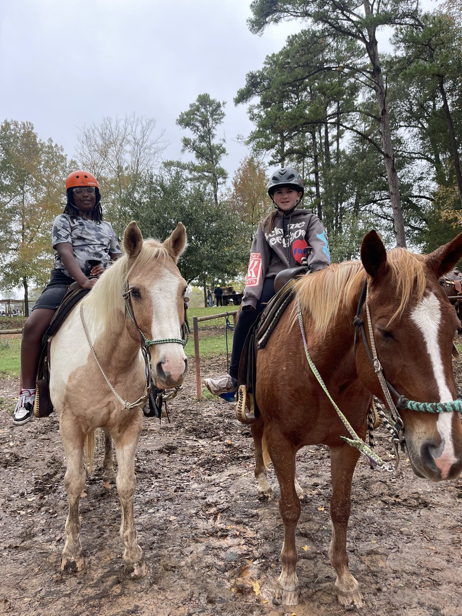 5th Grade tweet media