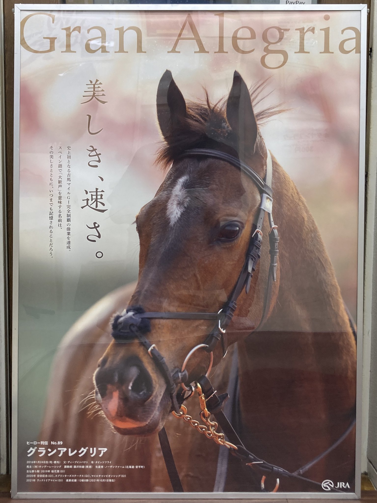 Amazon.co.jp: JRA ヒーロー列伝 オグリキャップ OGURICAP 来場