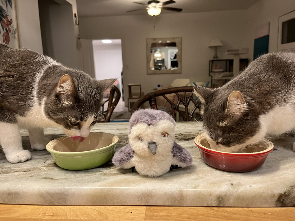 Leslie Nottingham (@llnottingham) on Twitter photo 