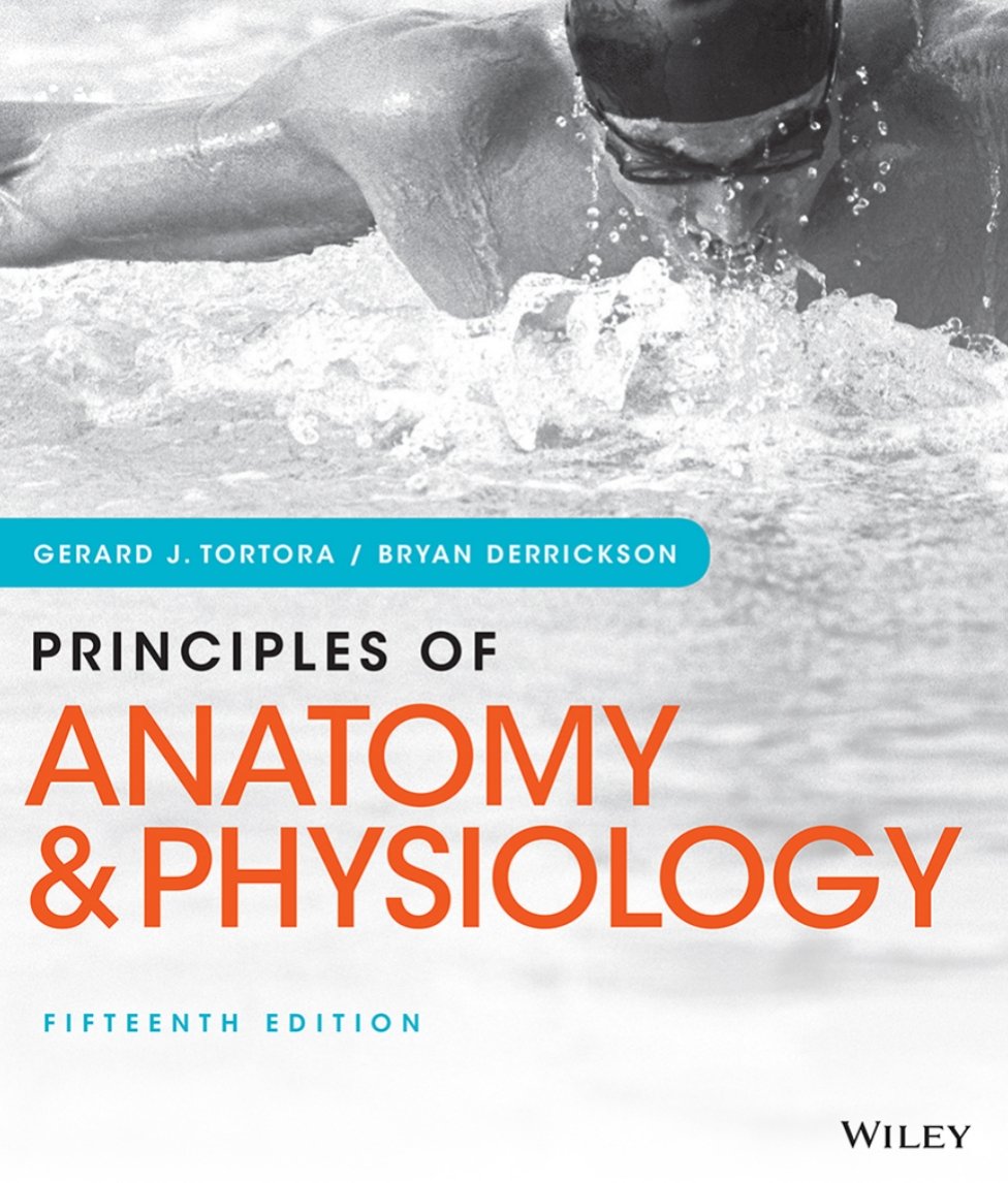 wts lfb medtech ebook

✧ TORTORA / DERRICKSON Principles of Anatomy and Physiology 15th edition
   — 75 php

✧ MEDTECH BOOKS 
     — 15 php

mod: gdrive
mop: gcash
DM ME💌

t. medtech medlabsci college ebook epub pdf soft copy medical terminologies chemistry