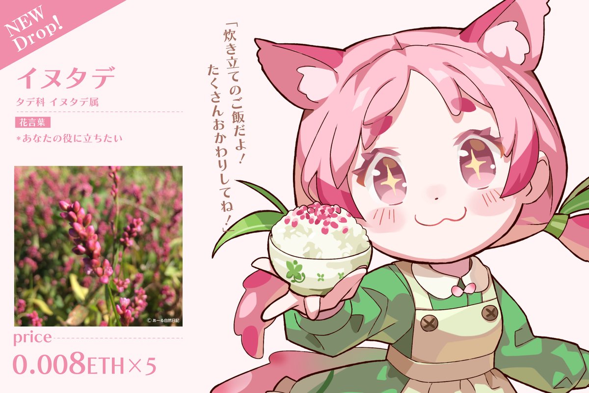 Kusanoko vol.2 新作 第二弾は「イヌタデ」ちゃん🐶🩷 夏から秋にかけて散歩してるとよく見かける子。 ピンク色の小さな花が穂状花序に付く。 このピンクの粒々した花が子供たちのおままごとに使われる様子から 「赤まんま」という別名がある。 ⬇️mintページ kusanoko.studio.site/v2_2_mint
