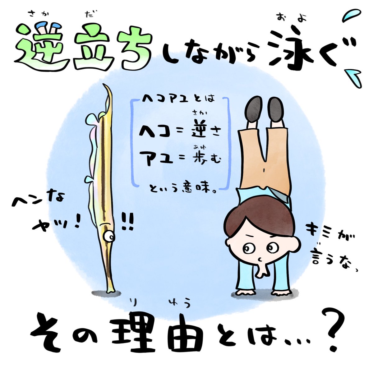 11月11日🆕 #ヘコアユの日 でもあります🐟@aoao_sapporo