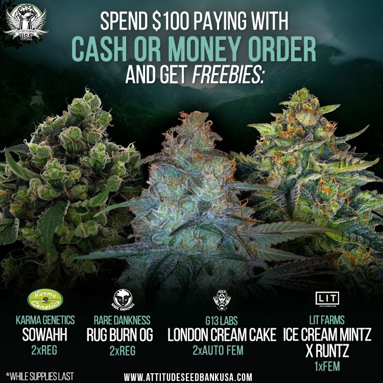 AttitudeSeedUSA's tweet photo. New CASH 💵 promo! Freebies! #freebies https://t.co/L8IJsHjRgq