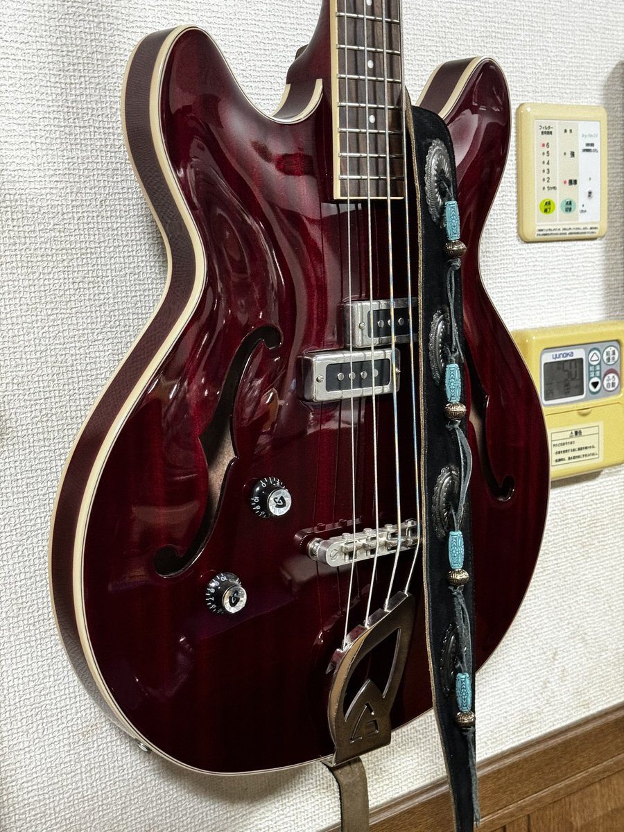 cafechudoku's tweet photo. ＃おはようございます 

今年もやって来ました✨🎸✨
＃ベースの日 ＃ベースの日2023 
１階にいる #GuildSTARFIRE ２階の #Hofner
Hofnerは中古だけど保証書に書かれていた名前で @lefty_taniguchi さんに出会えたんだよね。

最近はあまり弾いてない  ＃ウクレレの日 も✨

#レフティ全員繋がろうぜ https://t.co/ImYTQzJmCb