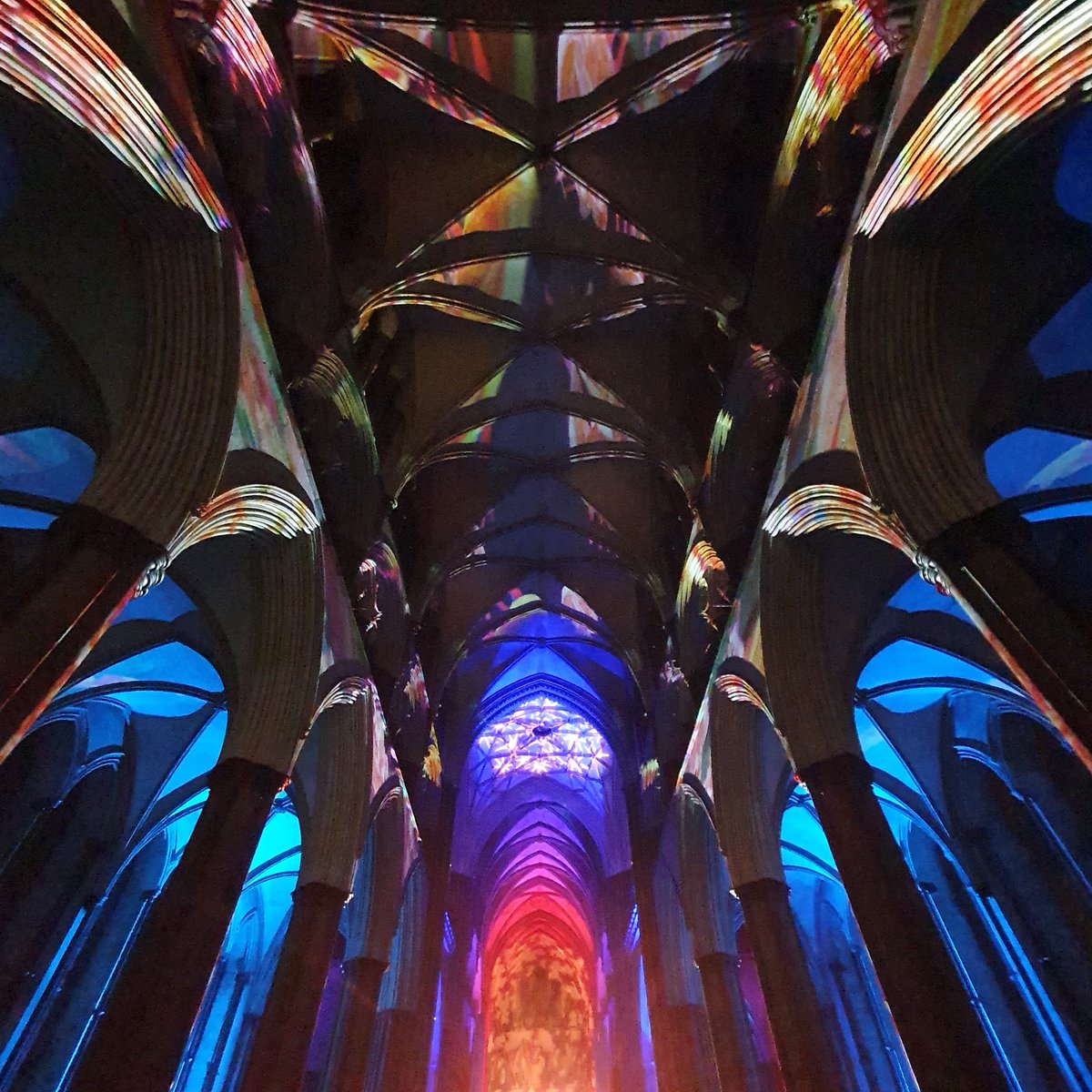 An immersive evening @SalisburyCath this evening, stunning, lights, music and of course the cathedral.