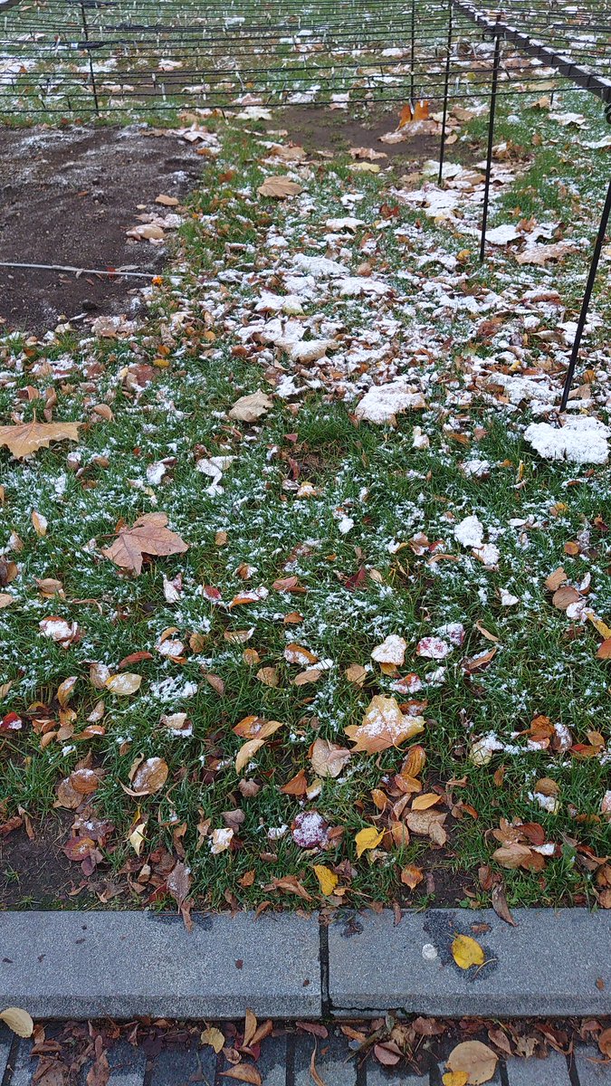 granite_22's tweet photo. 雪が降ったみたい。
風が冷たくて寒い🥶 https://t.co/1EQ2zdAv8Y