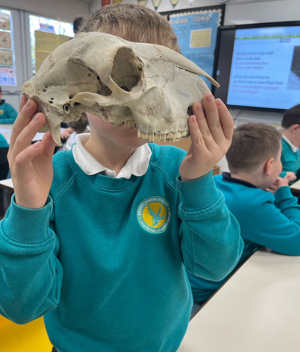 EagleyY3's tweet photo. Thank you to Andrew from the Lancashire Badger group for telling us all about Badgers! https://t.co/FsjjgpoPbu