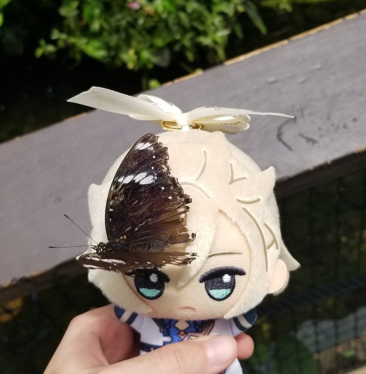 feebii no.2 tweet media