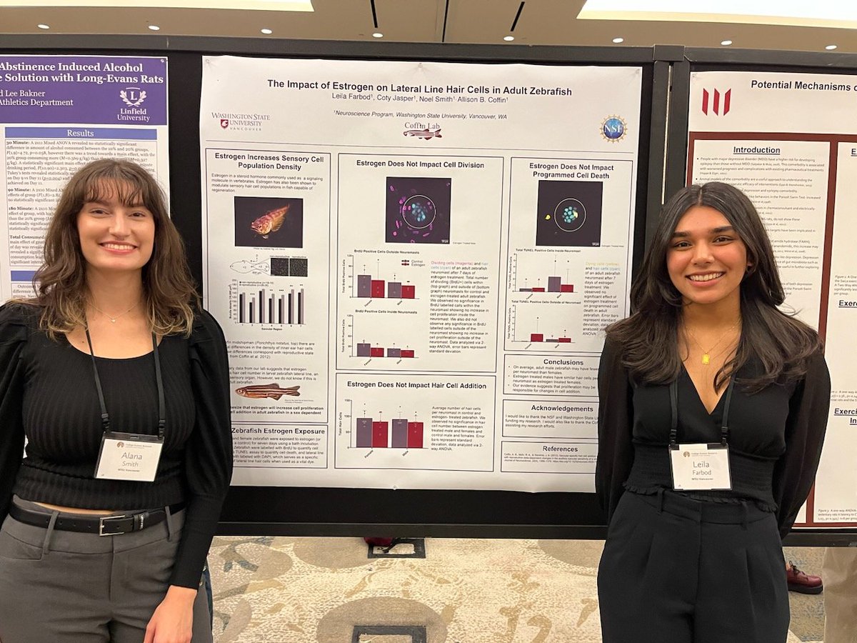 Allison Coffin, PhD (@allison_coffin) on Twitter photo Undergraduate researcher Leila (right) did a great job presenting her poster at the Murdock undergraduate science conference. <a href="/wsuv_research/">WSUV Research</a> Undergraduate researcher Leila (right) did a great job presenting her poster at the Murdock undergraduate science conference. <a href="/wsuv_research/">WSUV Research</a>
