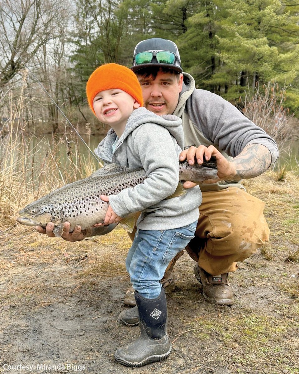 Pennsylvania Fish and Boat Commission on X: Lincoln Biggs, age 3, caught  and released this beautiful Brown Trout while fishing at the  Zelienople-Harmony Sportsmen's Club, Beaver County, on Mentored Youth Trout  Day.