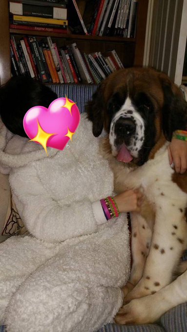 I miss my St Bernard 🥺🥺 https://t.co/KSu1buLyld