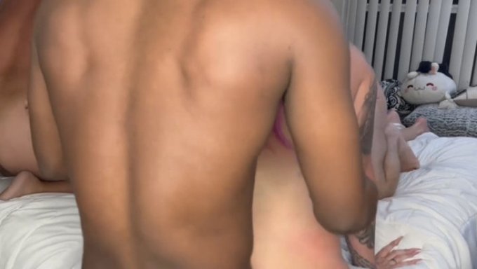 VID SOLD! CHRISTMAS ORGY PART:2 🔥 Check it out! https://t.co/IpD0BLMG7j #MVSales @manyvids https://t<a href="/tag/mvsales"class="tags"><span>#mvsales</span></a>