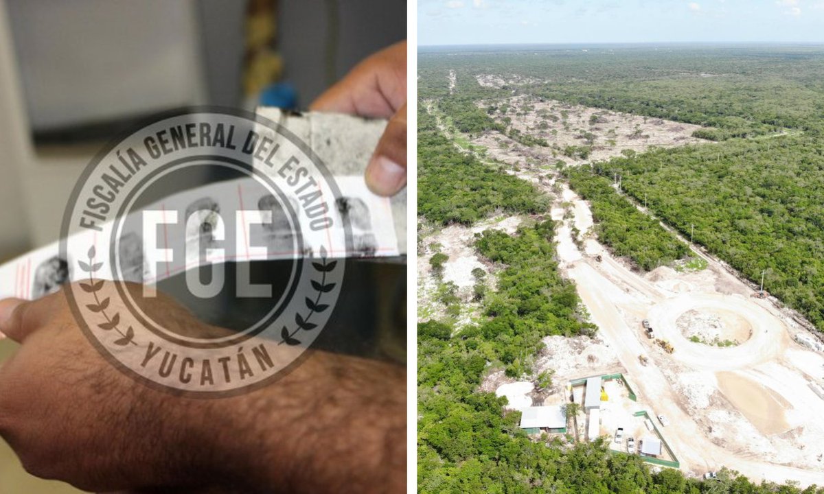 DiariodeYucatan's tweet image. ⚡ Fraude en la compraventa de terreno en Telchac Puerto yucatan.com.mx/yucatan/2023/1…