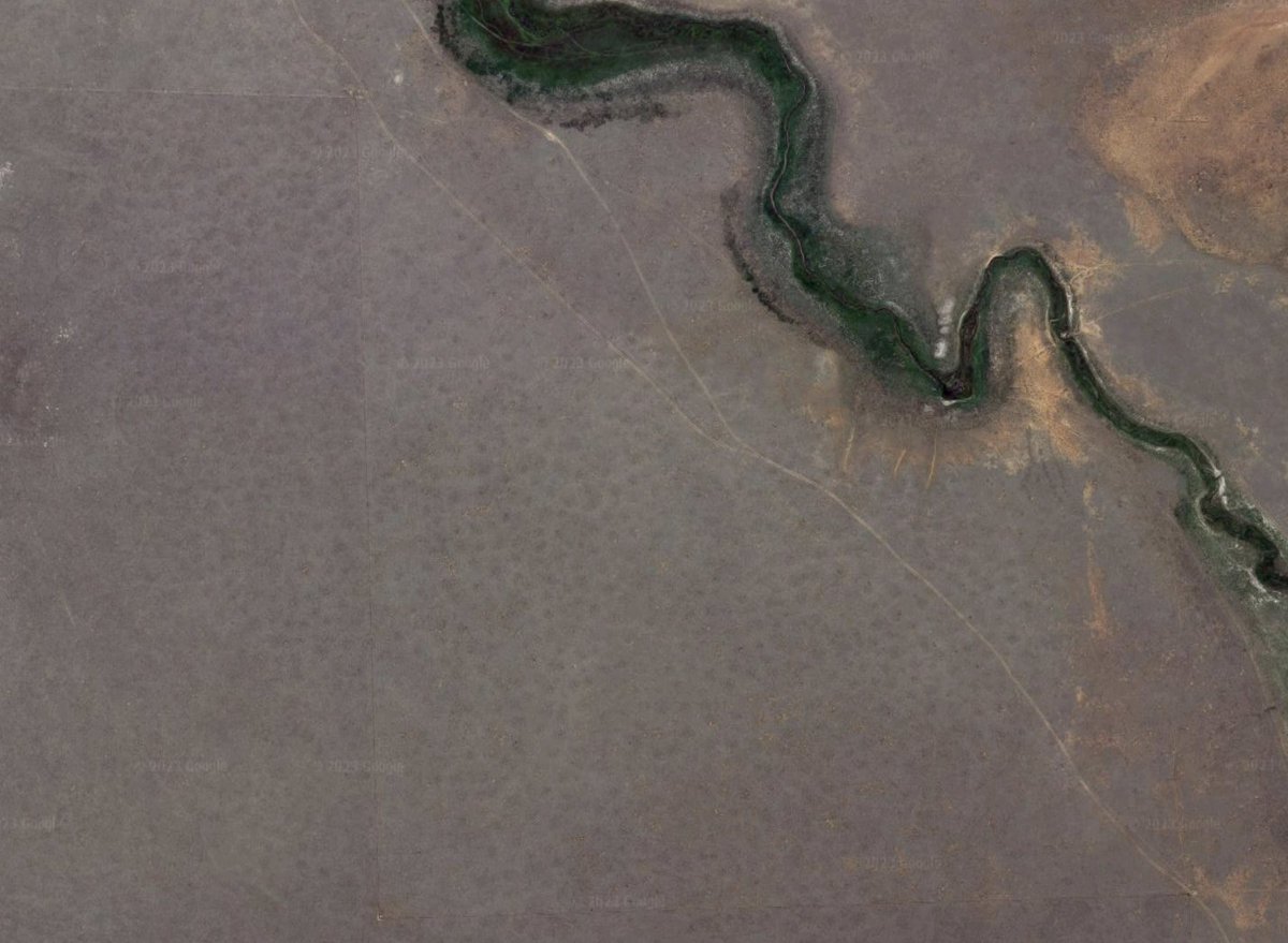 Bryan Shuman | Promote democracy, condemn violence tweet media