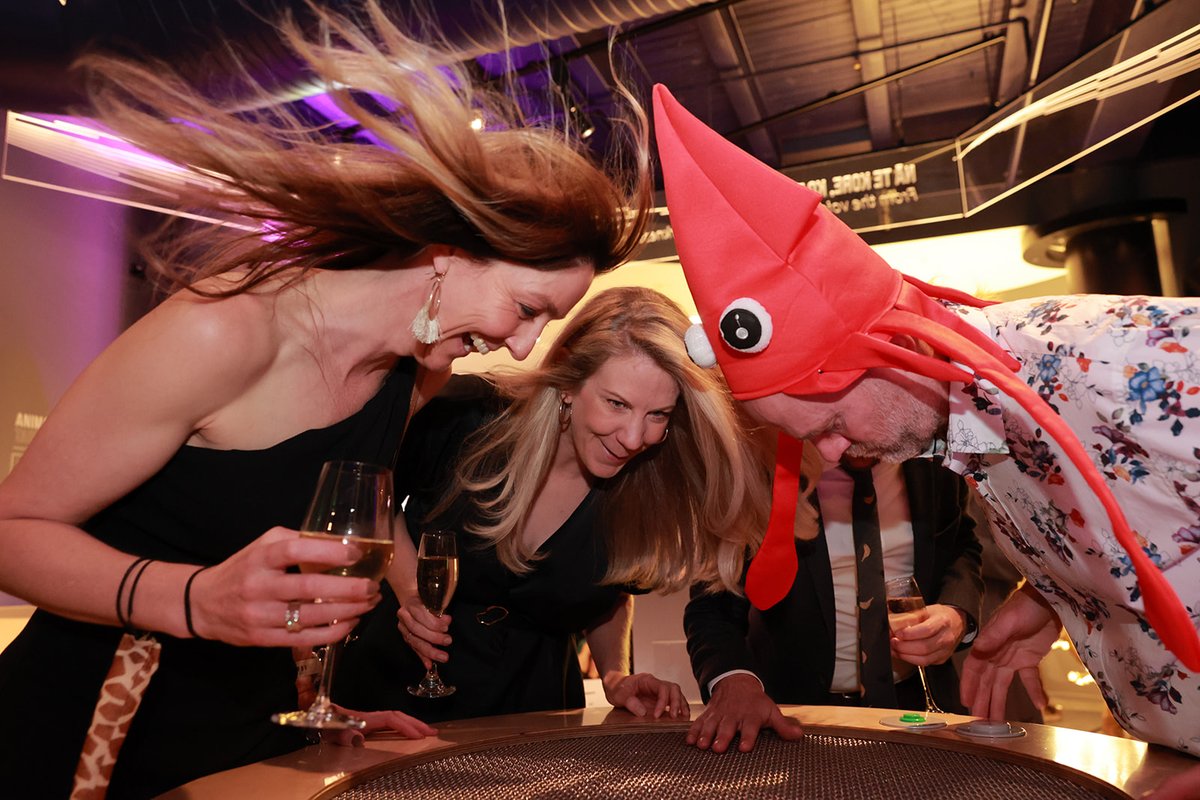 ANZA ASM 2024 tweet media