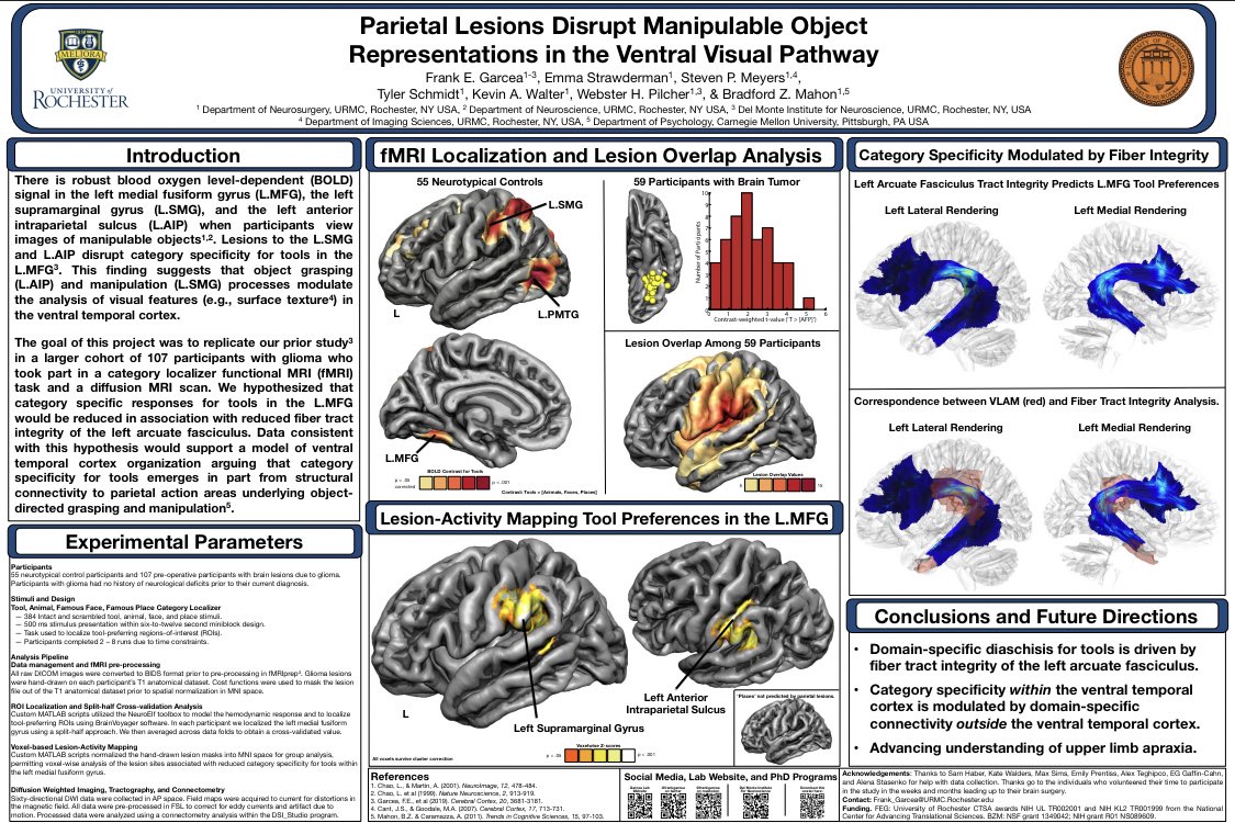 Really pumped to be at #SfN23 to present our work on how parietal (and subcortical) lesions disrupt tool representations in the ventral visual pathway! Come by poster BB17 Sunday 1-5 pm to chat! 🧠 <a href="/URNeuroscience/">Del Monte Institute for Neuroscience</a> <a href="/URNeurosurgery/">UR Neurosurgery</a> <a href="/URBrainMapping/">UR Program for Translational Brain Mapping</a>