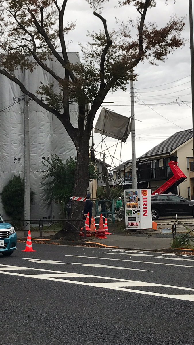 python66333841's tweet image. 甲州街道沿いの足場が風で崩れそうで烏山あたりで規制かけてる。木枯らし1号かな。