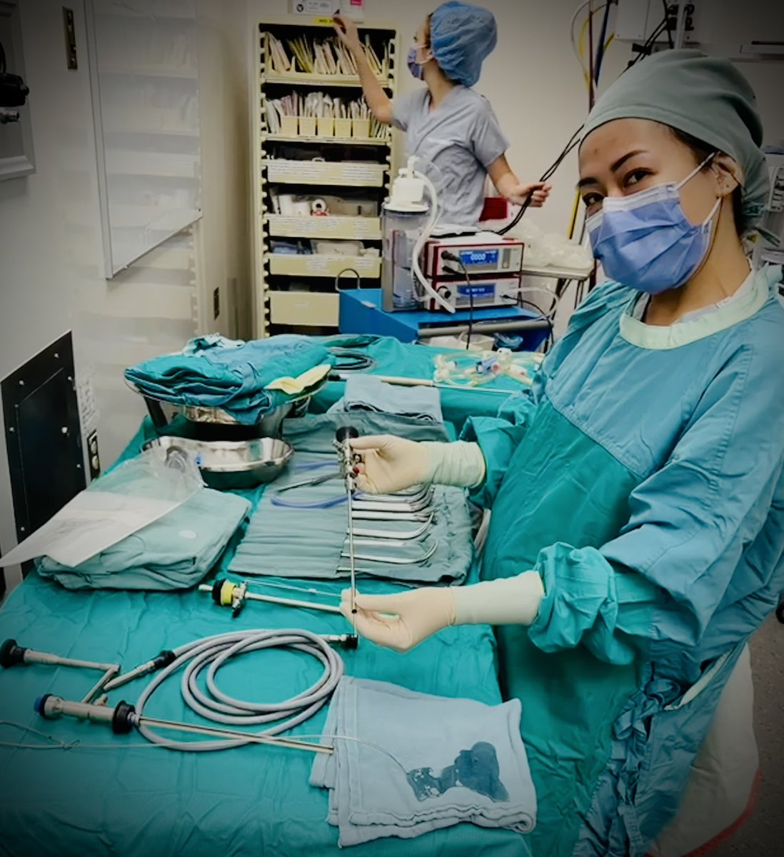 Mark Assmus tweet media