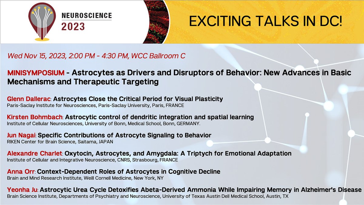 Orr laboratory (@orrlaboratory) on Twitter photo Check out this minisymposium on astrocytes Che✨Wed Nov 15 <a href="/SfNtweets/">Society for Neuroscience (SfN)</a> Superb talks on astrocytes by <a href="/DalleracG/">Dallerac Glenn</a> @KirstenBohmbach <a href="/JunNagaiLab/">Jun Nagai</a> <a href="/CharletLab/">Alexandre Charlet</a> <a href="/OrrLaboratory/">Orr laboratory</a> and Yeonha Ju!💪
But wait, there's more!😊..see the companion article! <a href="/SfNJournals/">SfN Journals</a> jneurosci.org/content/43/45/… 🤓 Check out this minisymposium on astrocytes Che✨Wed Nov 15 <a href="/SfNtweets/">Society for Neuroscience (SfN)</a> Superb talks on astrocytes by <a href="/DalleracG/">Dallerac Glenn</a> @KirstenBohmbach <a href="/JunNagaiLab/">Jun Nagai</a> <a href="/CharletLab/">Alexandre Charlet</a> <a href="/OrrLaboratory/">Orr laboratory</a> and Yeonha Ju!💪
But wait, there's more!😊..see the companion article! <a href="/SfNJournals/">SfN Journals</a> jneurosci.org/content/43/45/… 🤓