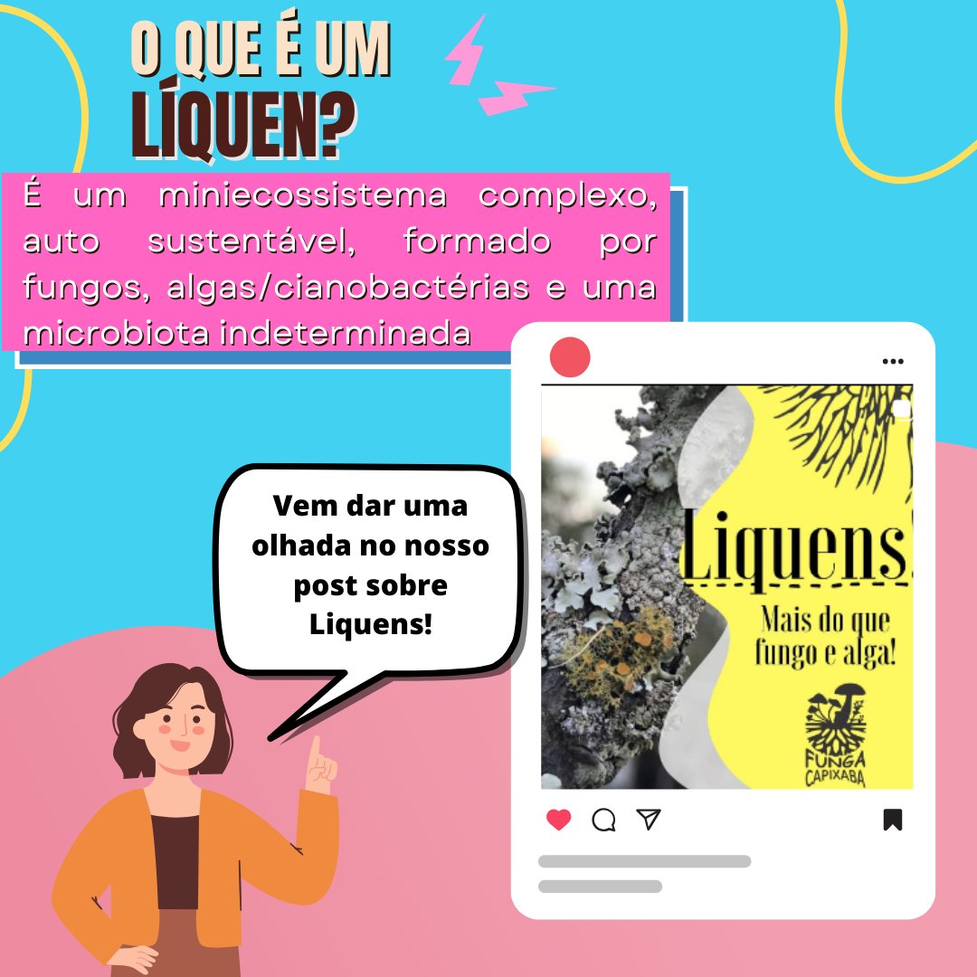 fungacapixaba's tweet photo. E aí, Fungalera!

Simbora explorar as formas dos talos dos liquens?

O 'corpo' de um líquen é chamado de "talo". O talo nada mais é que todo o conjunto dos simbiontes da relação, o próprio líquen. https://t.co/0zmurrtokC