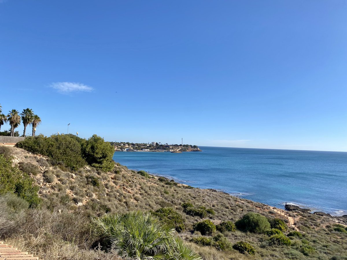 Karen Hopkinson tweet media