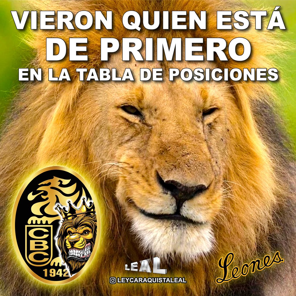 ley_leal's tweet photo. #LeonesdelCaracas https://t.co/Q1AOueiBig