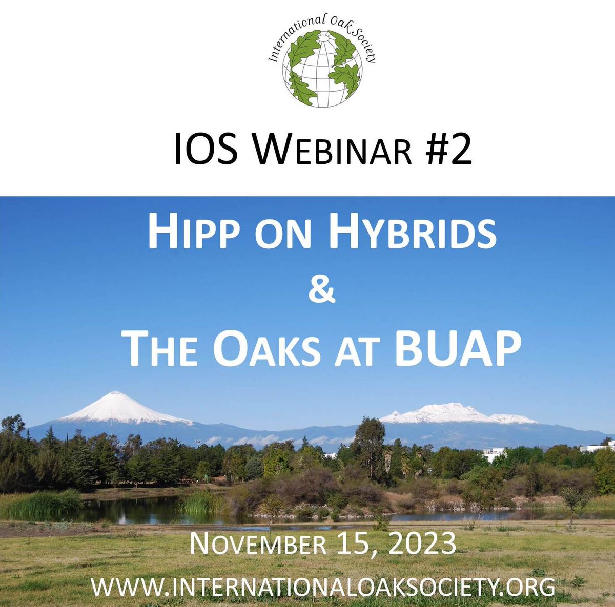 Oak expert @andrewlhipp on hybridization in oaks and a virtual tour of the oak collection at <a href="/JardinBuap/">Jardín Botánico Buap</a> by Maricela Rodríguez Acosta and Allen Coombes. This and more in an International Oak Society webinar on November 15. More info: bit.ly/IOSWebinar2