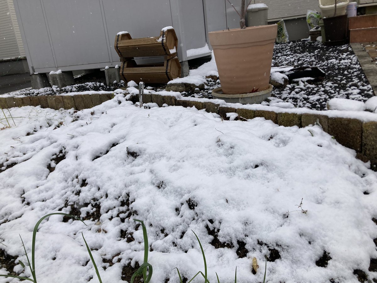 kaori_mbc's tweet image. ゆーきー！！⛄️❄️

昨日できた💡と思ったheaderスクロールアニメーション
やっぱりロゴ画像の動きが思ってるのと違う。

解決するためにGPT君と夜中まで相談したけどダメだった…😓

ちょいとこの部分は後回しにしてfvにいこ。
後でGPT君と仲良くなる方法、師匠たちに聞こ👂
#irocode