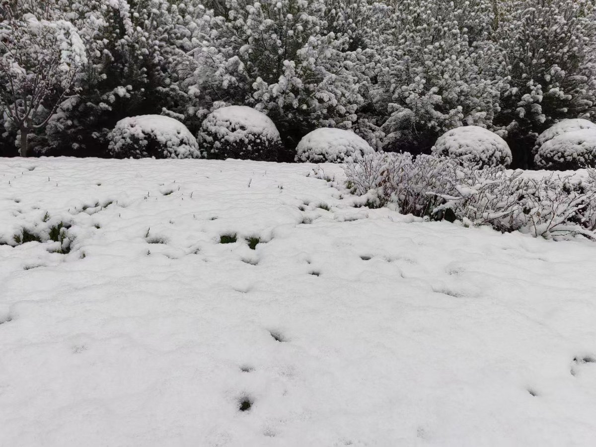 下雪啦～ https://t.co/WcUIJYpH3W