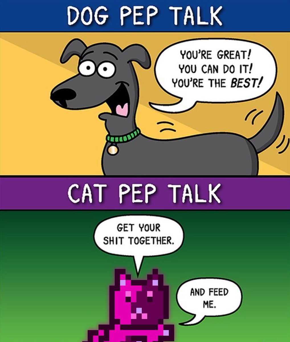 Crunchycat tweet media