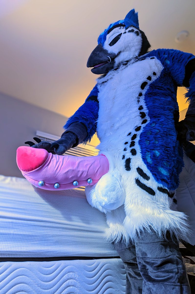 Love how the lighting really draws the eyes straight to the goods on this one uvu