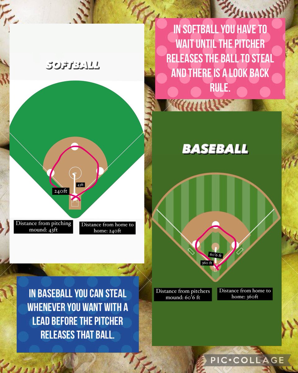 carroll_londyn's tweet image. #SharkChallenge #MillieTheShark #Task8 @AMNTX18u @AMNTX18u_Jeff @JimyeVaughan @coachnikolehigh @coachmadisontx