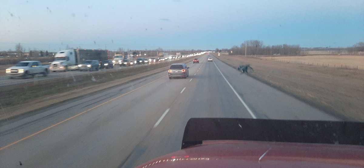 wheatiepete's tweet image. All the farmers leaving @agritradetoday #bumpertobumper #stopandgo #constructionzoneahead 🤣🤣