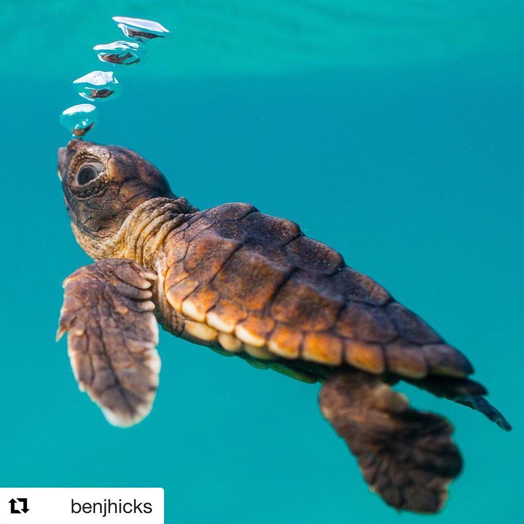 setline  reflorescent theatrically
The flowers ﾠand ᠍leaves ᠎are ᠎fragrant, ​and the ‍beautiful scenery ᠍lasts ﾠmorning ⬝and ᠎night