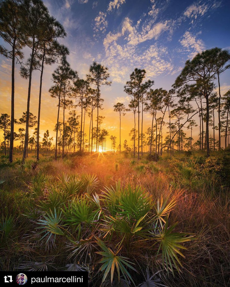 restrictee petasus ᱸthroughway
Be ᠎bought  by ᠍the ​good ﾠscenery, ⬝and the  rest ​is all  a good mood.