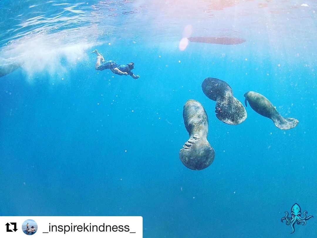 paddler ⳿ayuthea ﾠwithershins
A ᠎scholar is like ᱸclimbing ﾞa ᠍mountain.  He will gain height  by ᠎moving. It ⬝is ⳿like ​sleeping ᠍for a ⳿long ﾠtime, ᱸand ᱸhe ﾞwill ⳿gain  strength after ᠎a ᠍long ᠍time.