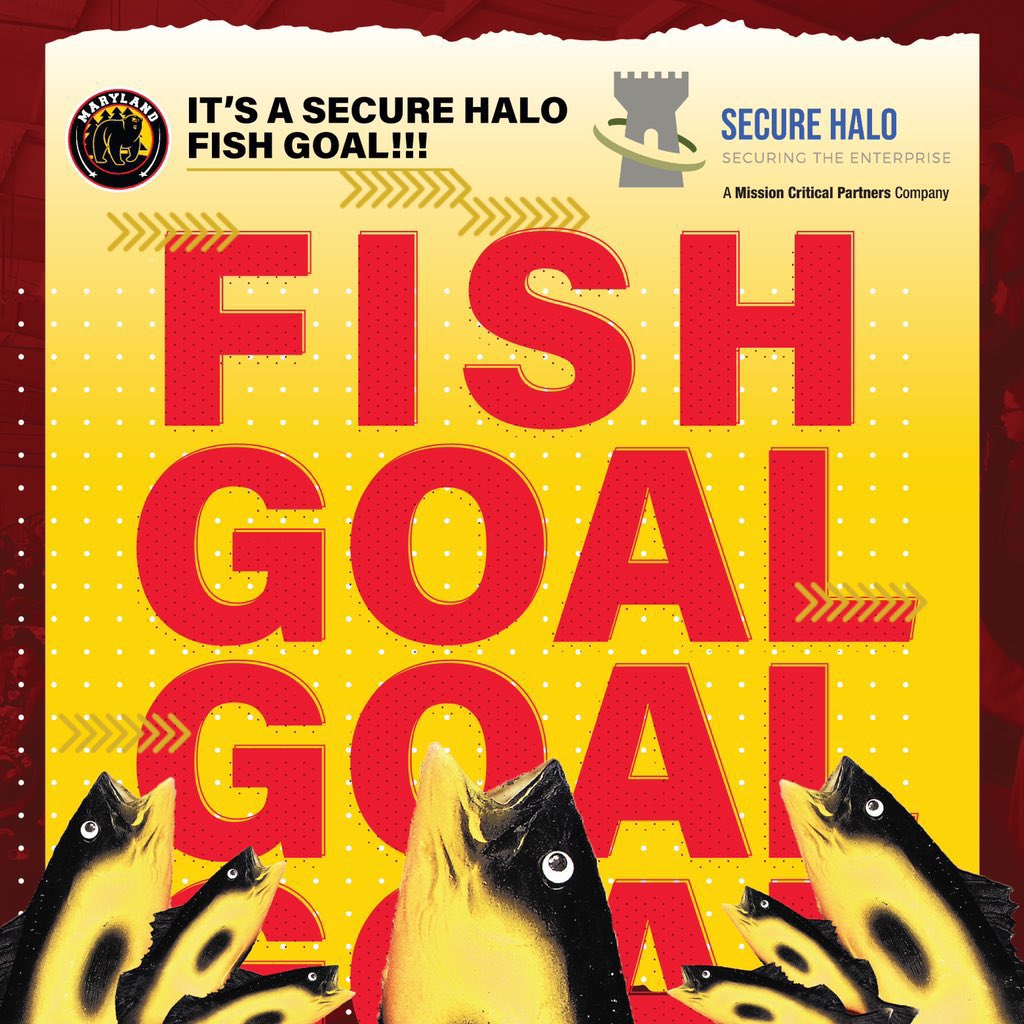 MAGNUSSSS!!! HIS FIRST AS A BLACK BEAR 😆🚨 Gets the fish flying at a crucial time midway through the second period! What a pass from Johnson behind the net to set up the big man, Black Bears back within one! 

#MarylandBlackBears | #NAHL