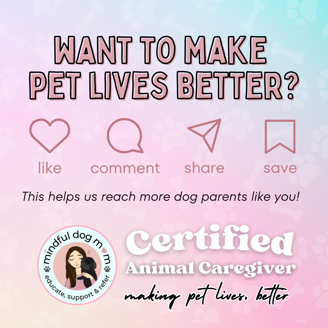 🗣️BREAKING NEWS 📢⁣

Mid America Pet Food Expands their recent recall to include the entire line of Victor Super Premium 🐶

We get asked all the time...what brands are SAFE to feed my dog so we've decided to share some of our endorsements you can find on the dog lovers director