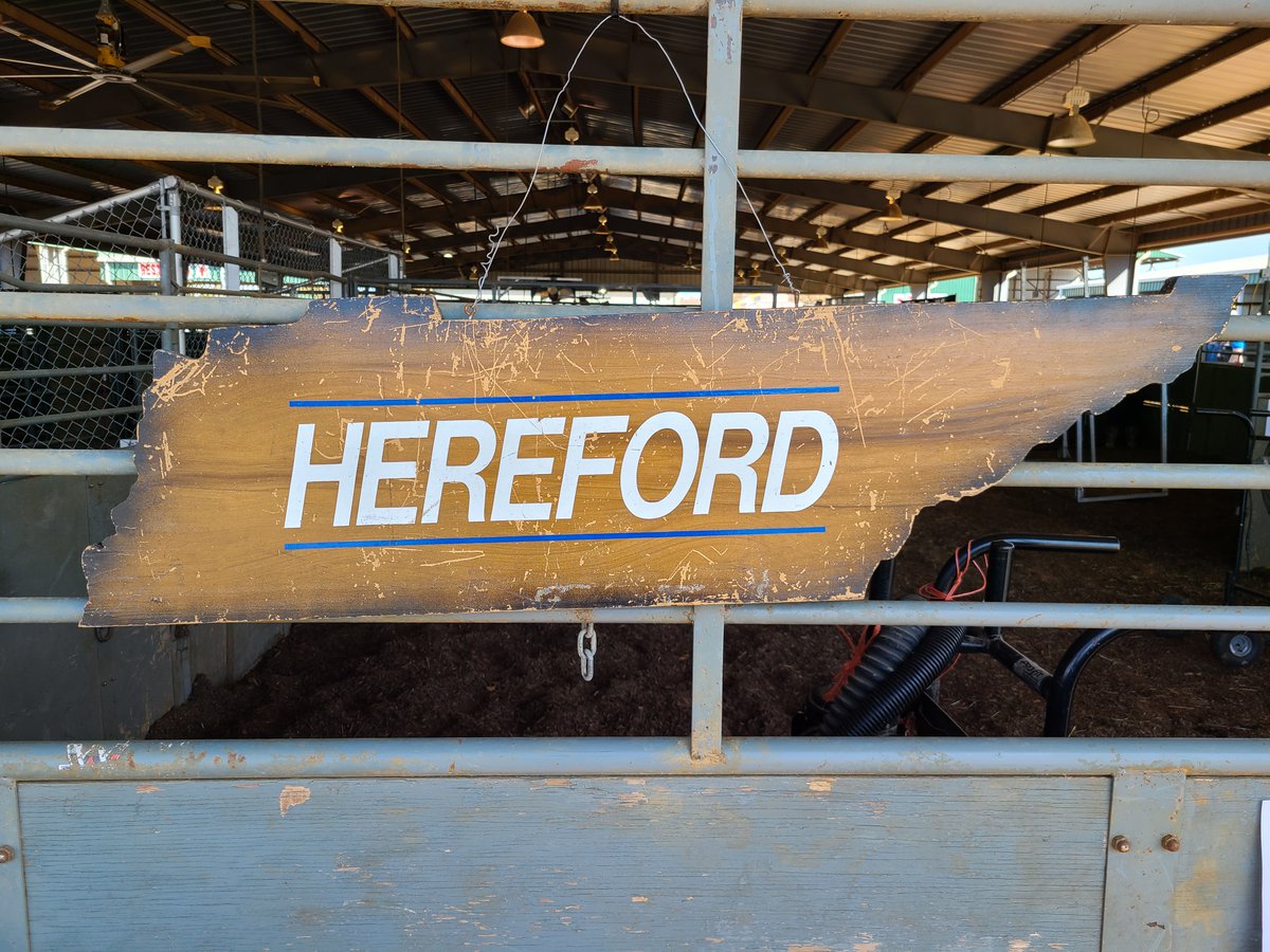 tnhereford's tweet photo. It may not feel like it, but the 2024 TN Beef Agribition is right around the corner! We just sent a letter out to all THA members with important information about this upcoming sale. If you didn't get the email, click this link to read it online.

https://t.co/w1kw56Vt2L https://t.co/K3OaIWU8NI